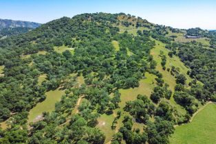 Agriculture,  Quail Ridge road, Napa, CA 94558 - 30