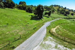 Agriculture,  Quail Ridge road, Napa, CA 94558 - 22