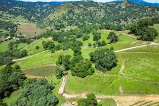 Agriculture,  Quail Ridge road, Napa, CA 94558 - 26