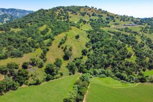 Agriculture,  Quail Ridge road, Napa, CA 94558 - 29