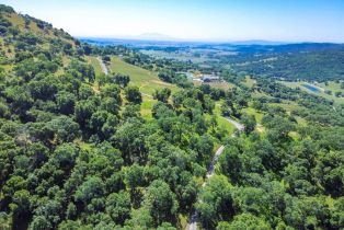 Agriculture,  Quail Ridge road, Napa, CA 94558 - 16