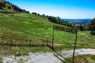 Agriculture,  Quail Ridge road, Napa, CA 94558 - 24