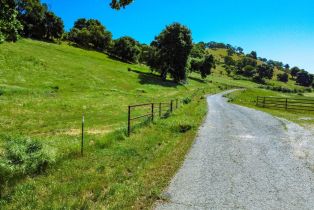 Agriculture,  Quail Ridge road, Napa, CA 94558 - 18