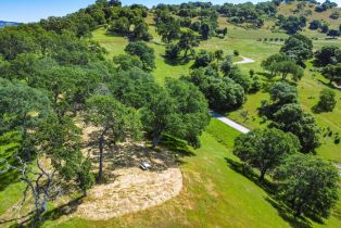 Agriculture,  Quail Ridge road, Napa, CA 94558 - 12