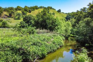 Agriculture,  Quail Ridge road, Napa, CA 94558 - 28