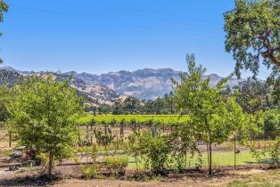 Agriculture,  State Highway 128 none, Calistoga, CA 94515 - 53