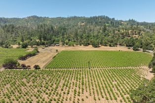 Agriculture,  State Highway 128 none, Calistoga, CA 94515 - 3