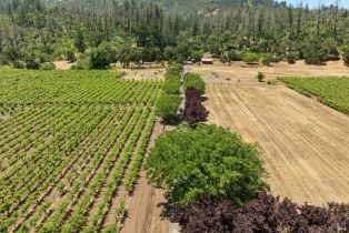 Agriculture,  State Highway 128 none, Calistoga, CA 94515 - 2