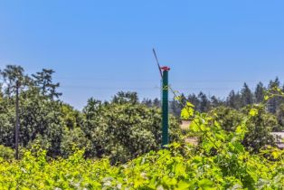 Agriculture,  State Highway 128 none, Calistoga, CA 94515 - 47