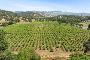 Agriculture,  State Highway 128 none, Calistoga, CA 94515 - 31
