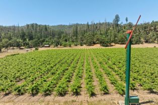 Agriculture,  State Highway 128 none, Calistoga, CA 94515 - 5