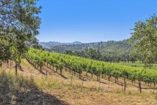 Agriculture,  State Highway 128 none, Calistoga, CA 94515 - 71