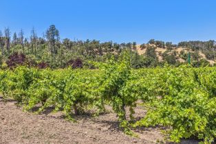 Agriculture,  State Highway 128 none, Calistoga, CA 94515 - 49