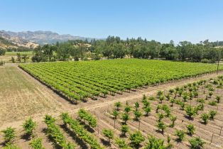Agriculture,  State Highway 128 none, Calistoga, CA 94515 - 16