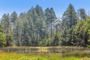 Agriculture,  State Highway 128 none, Calistoga, CA 94515 - 63