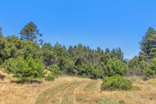 Agriculture,  State Highway 128 none, Calistoga, CA 94515 - 72