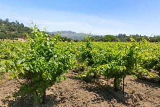 Agriculture,  State Highway 128 none, Calistoga, CA 94515 - 32