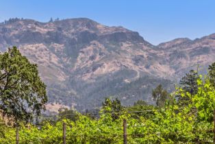 Agriculture,  State Highway 128 none, Calistoga, CA 94515 - 48