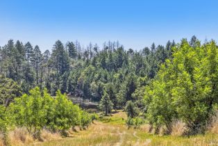 Agriculture,  State Highway 128 none, Calistoga, CA 94515 - 74