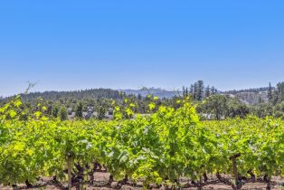 Agriculture,  State Highway 128 none, Calistoga, CA 94515 - 46