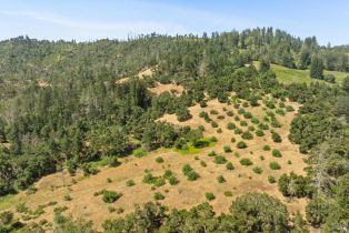 Agriculture,  State Highway 128 none, Calistoga, CA 94515 - 22