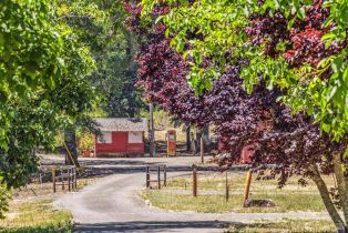 Agriculture,  State Highway 128 none, Calistoga, CA 94515 - 36