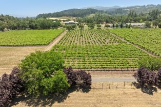 Agriculture,  State Highway 128 none, Calistoga, CA 94515 - 15