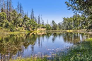 Agriculture,  State Highway 128 none, Calistoga, CA 94515 - 65