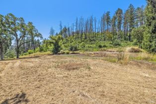 Agriculture,  State Highway 128 none, Calistoga, CA 94515 - 59