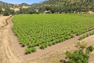 Agriculture,  State Highway 128 none, Calistoga, CA 94515 - 34