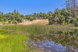 Agriculture,  State Highway 128 none, Calistoga, CA 94515 - 66