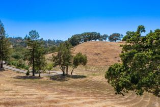 Residential Acreage,  Riebli road, Santa Rosa, CA 95404 - 16