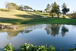 Residential Acreage,  Riebli road, Santa Rosa, CA 95404 - 9