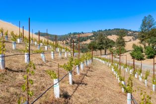 Residential Acreage,  Riebli road, Santa Rosa, CA 95404 - 13