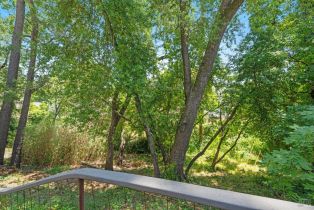 Single Family Residence,  Fitch Mountain road, Healdsburg, CA 95448 - 38