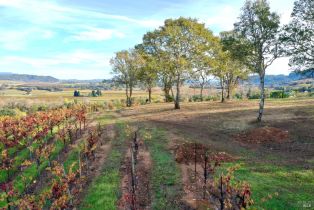 Residential Acreage,  Dry Creek road, Healdsburg, CA 95448 - 74
