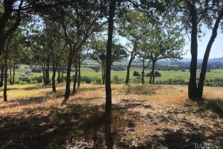 Residential Acreage,  Dry Creek road, Healdsburg, CA 95448 - 21