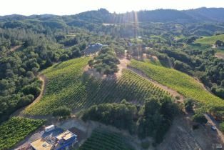 Residential Acreage,  Dry Creek road, Healdsburg, CA 95448 - 41