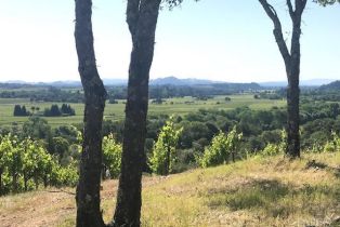 Residential Acreage,  Dry Creek road, Healdsburg, CA 95448 - 27