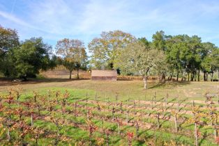 Residential Acreage,  Dry Creek road, Healdsburg, CA 95448 - 66