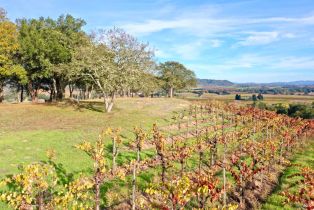 Residential Acreage,  Dry Creek road, Healdsburg, CA 95448 - 91
