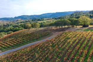 Residential Acreage,  Dry Creek road, Healdsburg, CA 95448 - 11
