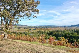 Residential Acreage,  Dry Creek road, Healdsburg, CA 95448 - 70