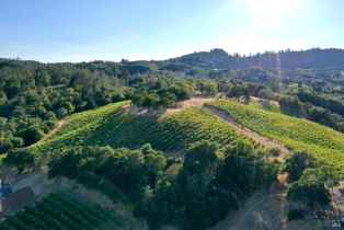 Residential Acreage,  Dry Creek road, Healdsburg, CA 95448 - 43