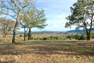 Residential Acreage,  Dry Creek road, Healdsburg, CA 95448 - 9