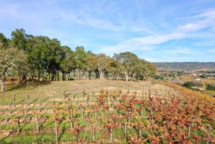Residential Acreage,  Dry Creek road, Healdsburg, CA 95448 - 65