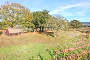 Residential Acreage,  Dry Creek road, Healdsburg, CA 95448 - 17