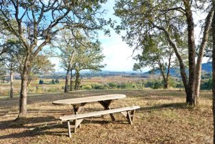 Residential Acreage,  Dry Creek road, Healdsburg, CA 95448 - 97