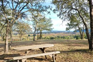 Residential Acreage,  Dry Creek road, Healdsburg, CA 95448 - 7