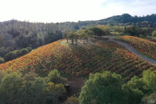 Residential Acreage,  Dry Creek road, Healdsburg, CA 95448 - 85